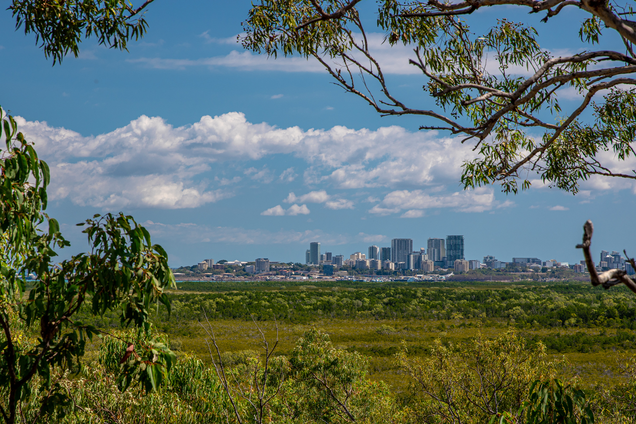 View of Darwin's city skyline amongst bush and trees